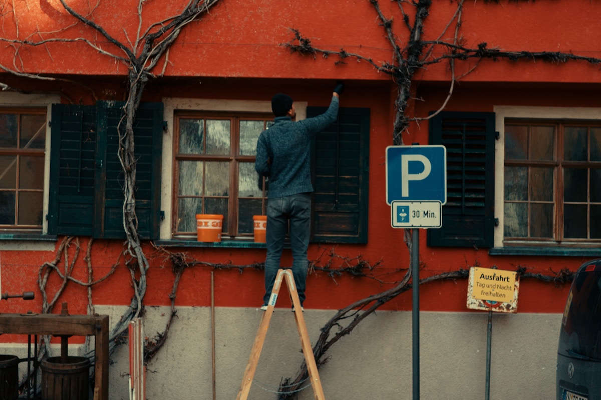 Rodillo pintura